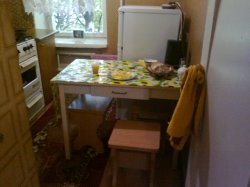 olga-kitchen 2011